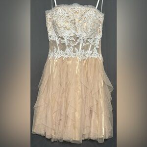 Lace sheer middle mini dress